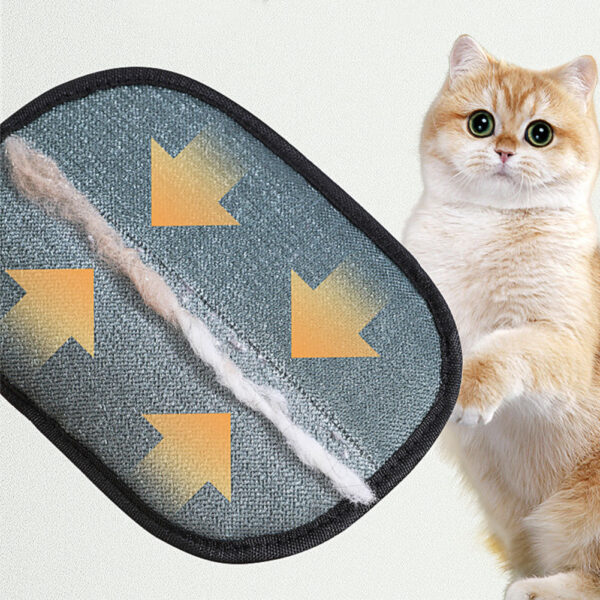 Pet Hair Remover - Image 4